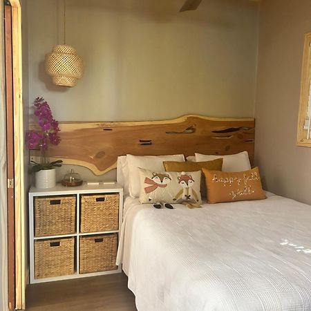 Sweet Tiny Cabin Τάμπα Εξωτερικό φωτογραφία
