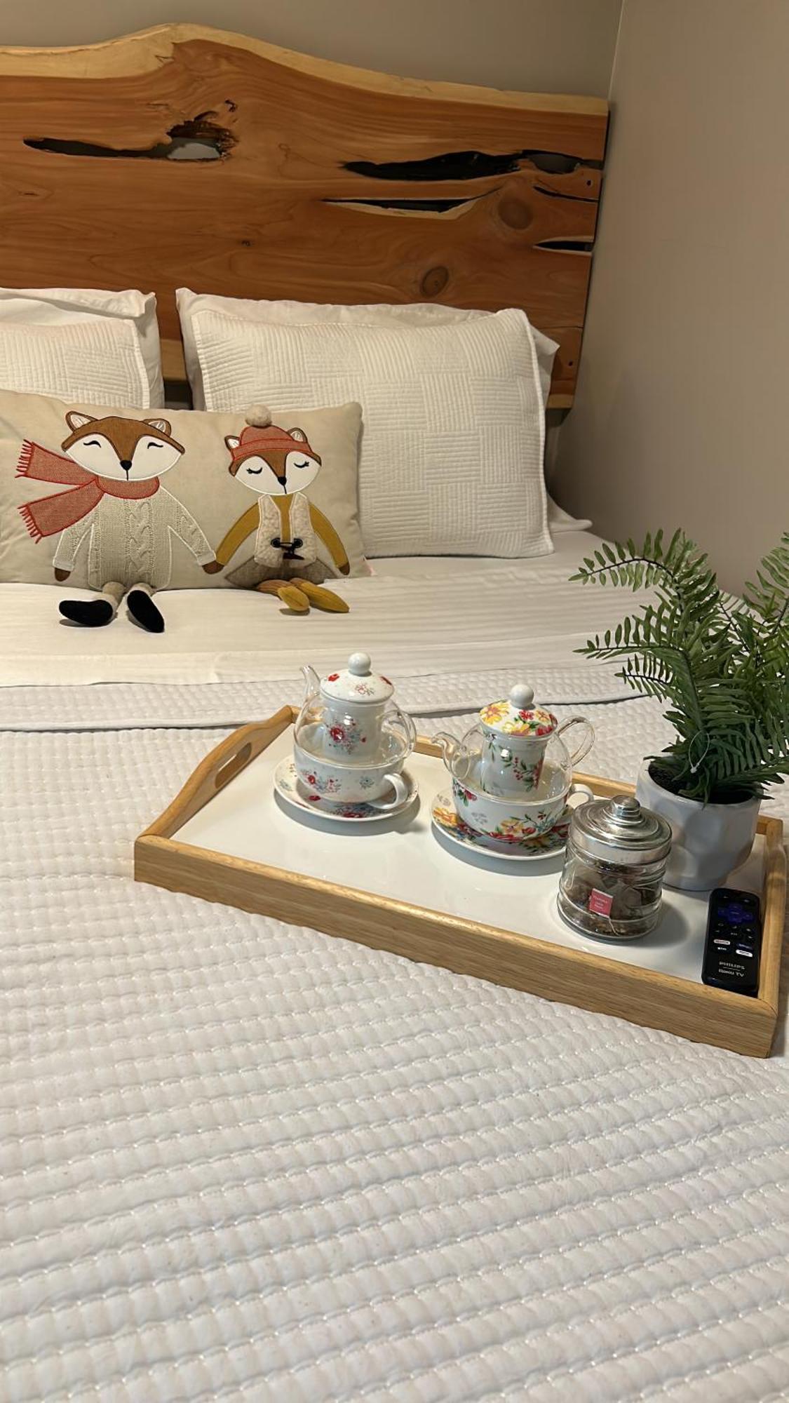 Sweet Tiny Cabin Τάμπα Εξωτερικό φωτογραφία
